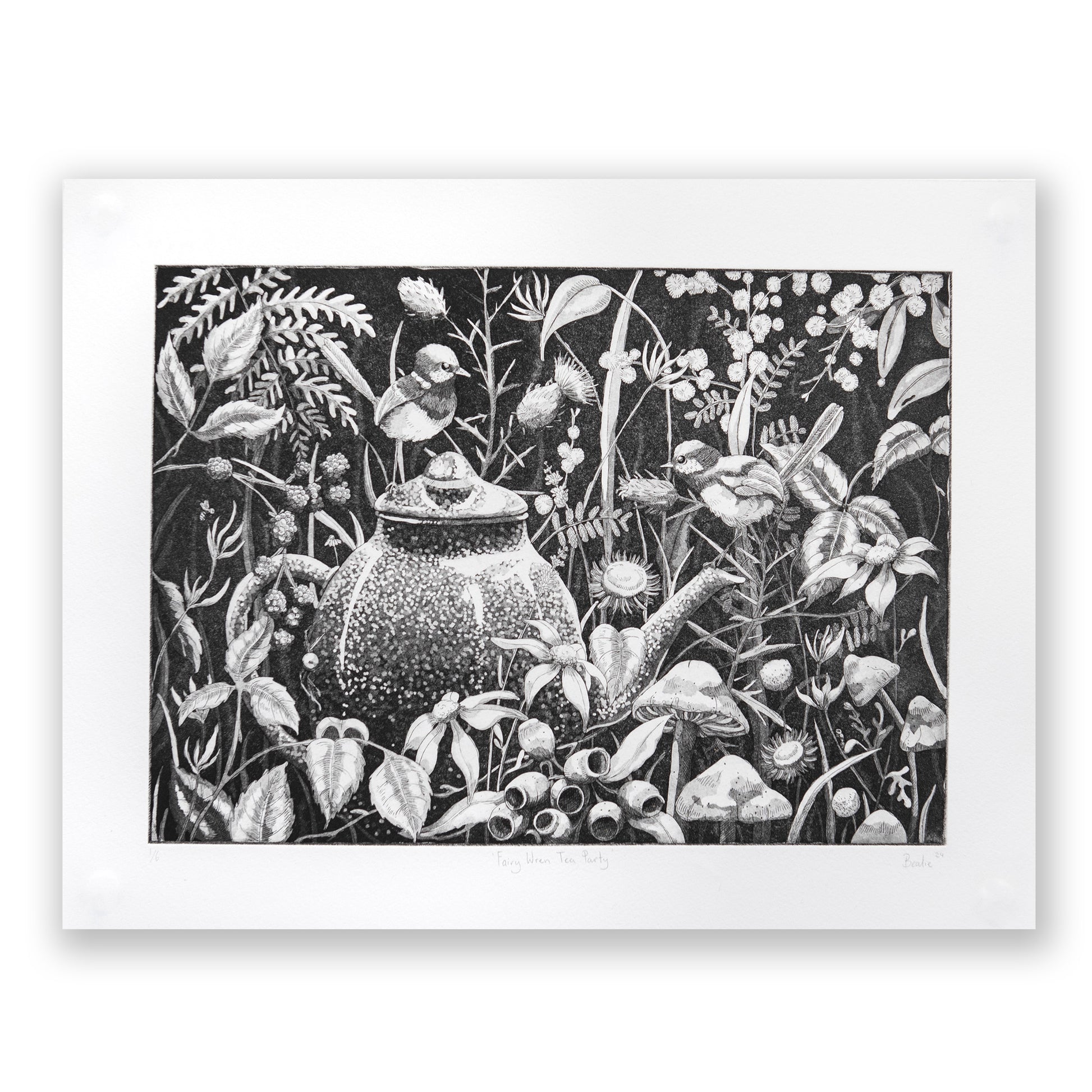 Hannah Bealie, Fairy Wren Tea Party (2024)
