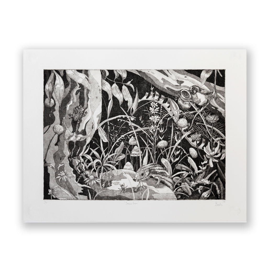Hannah Bealie, Snowgum (2024)