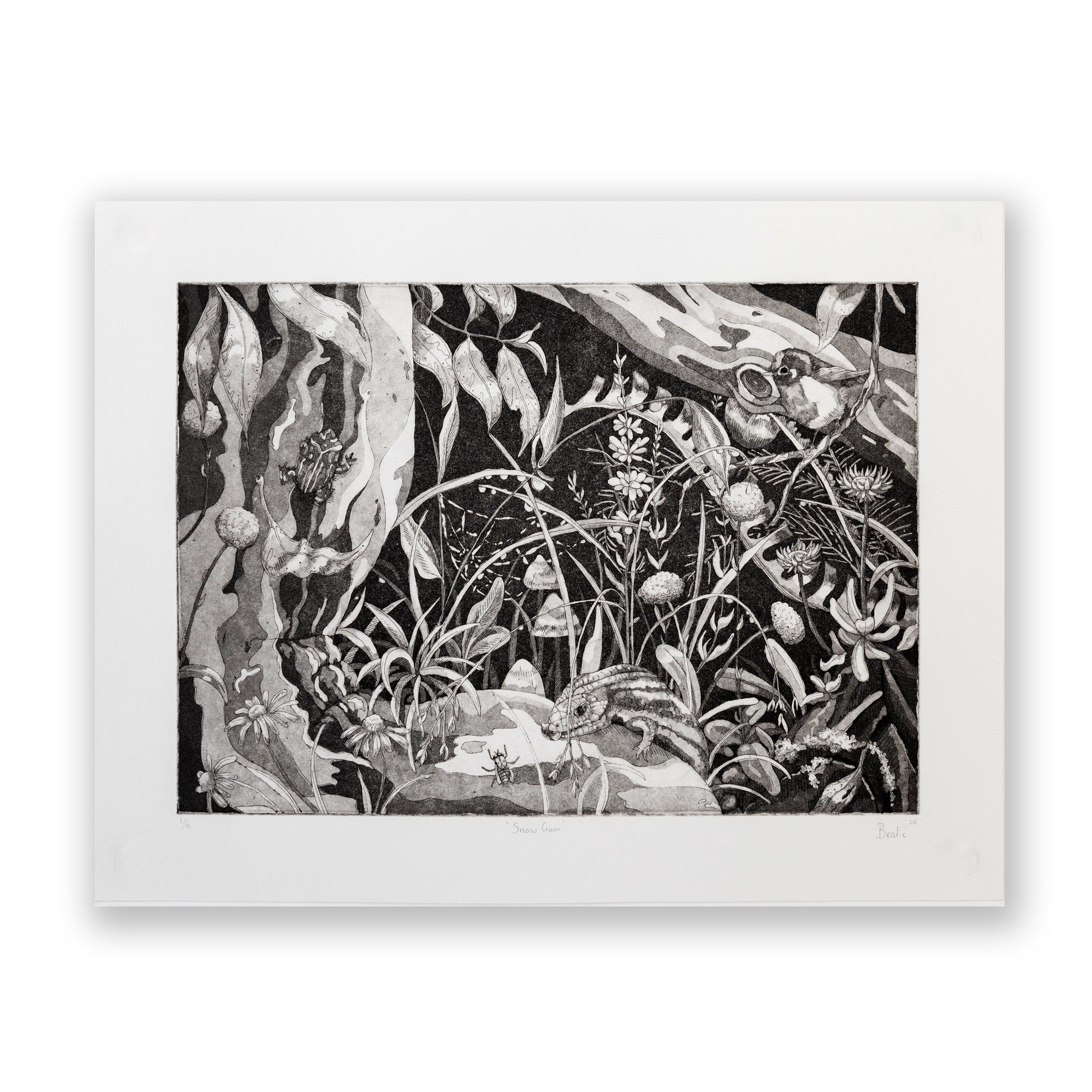 Hannah Bealie, Snowgum (2024)