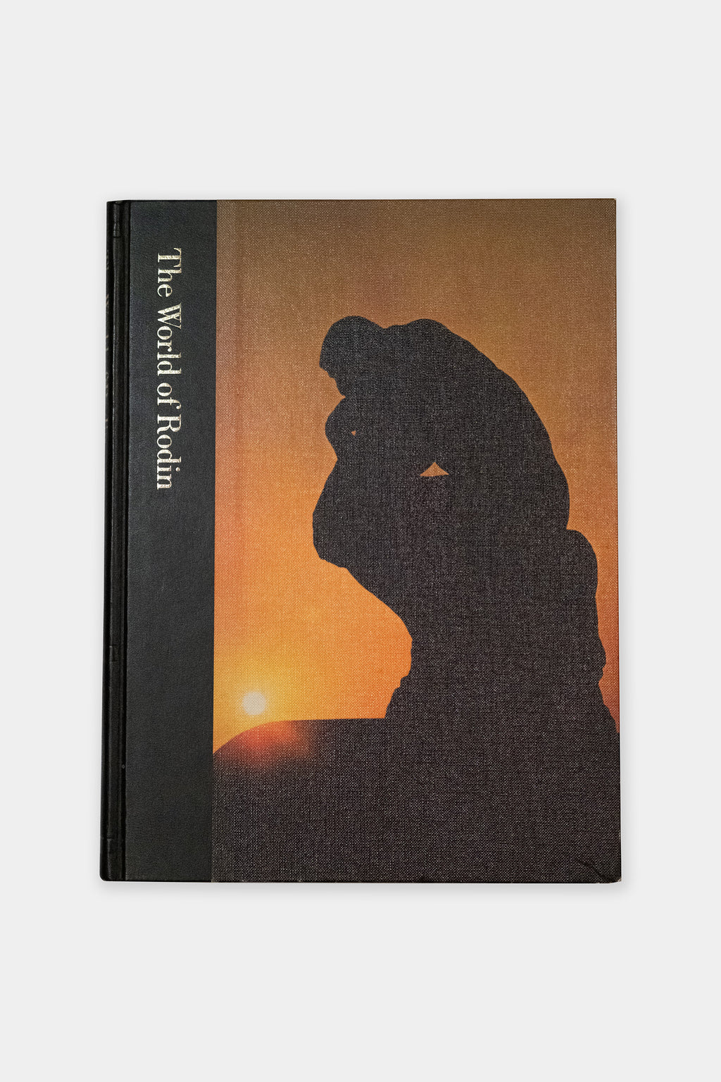 The World of Rodin
