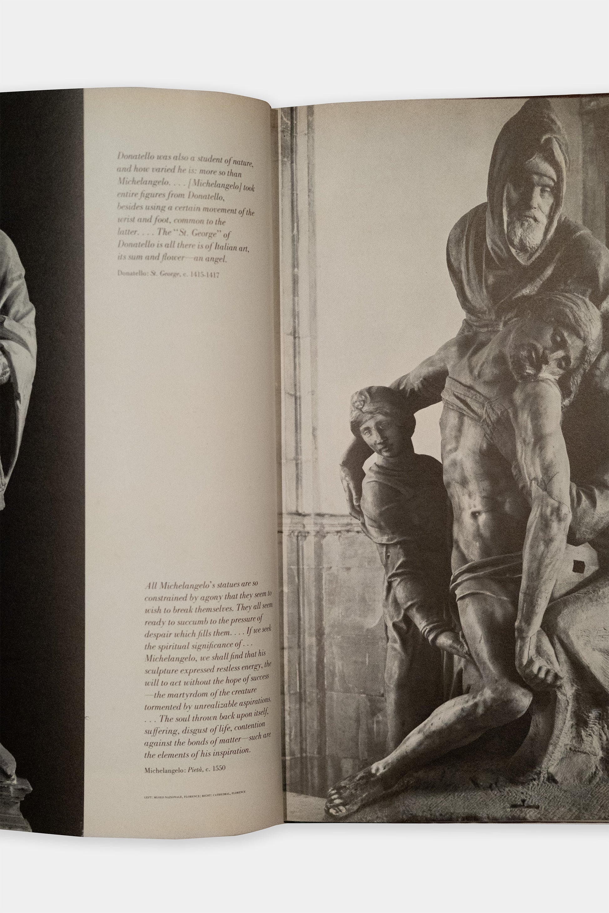 The World of Rodin