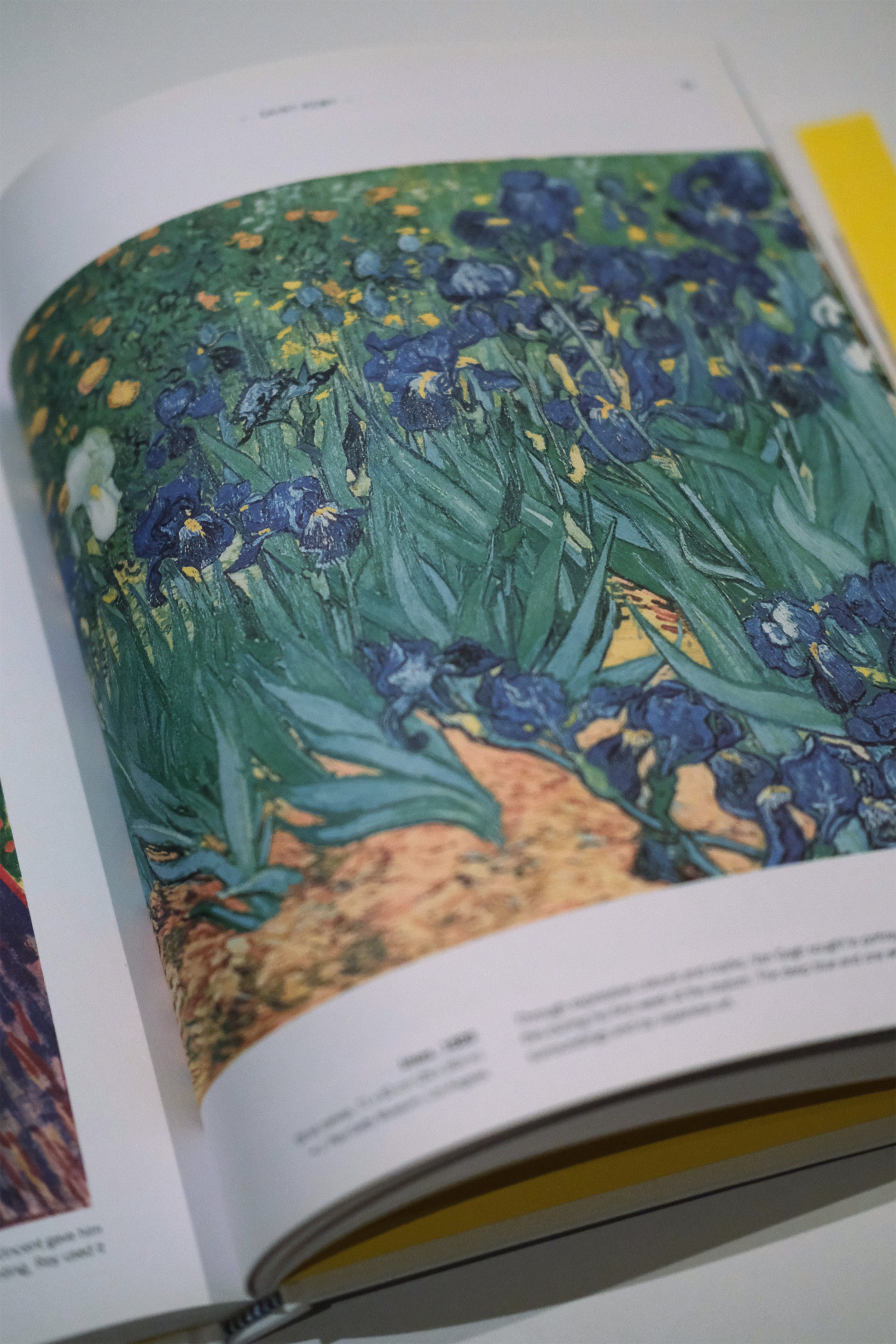 Vincent Van Gogh: Masterpieces of Art