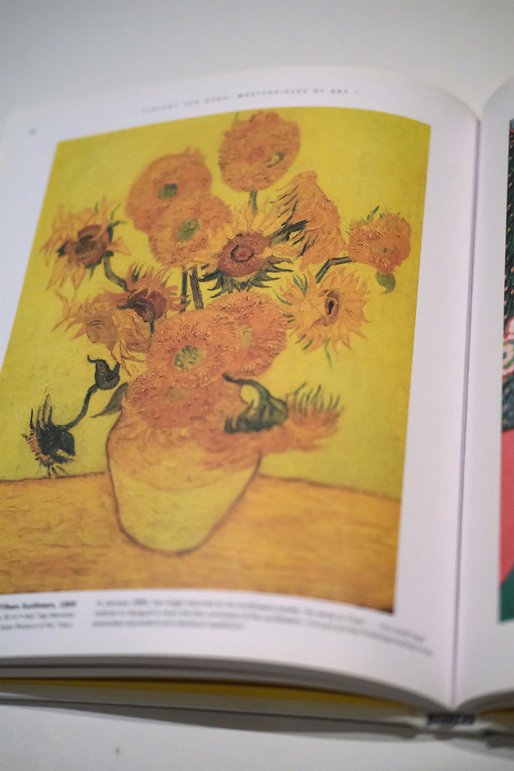 Vincent Van Gogh: Masterpieces of Art