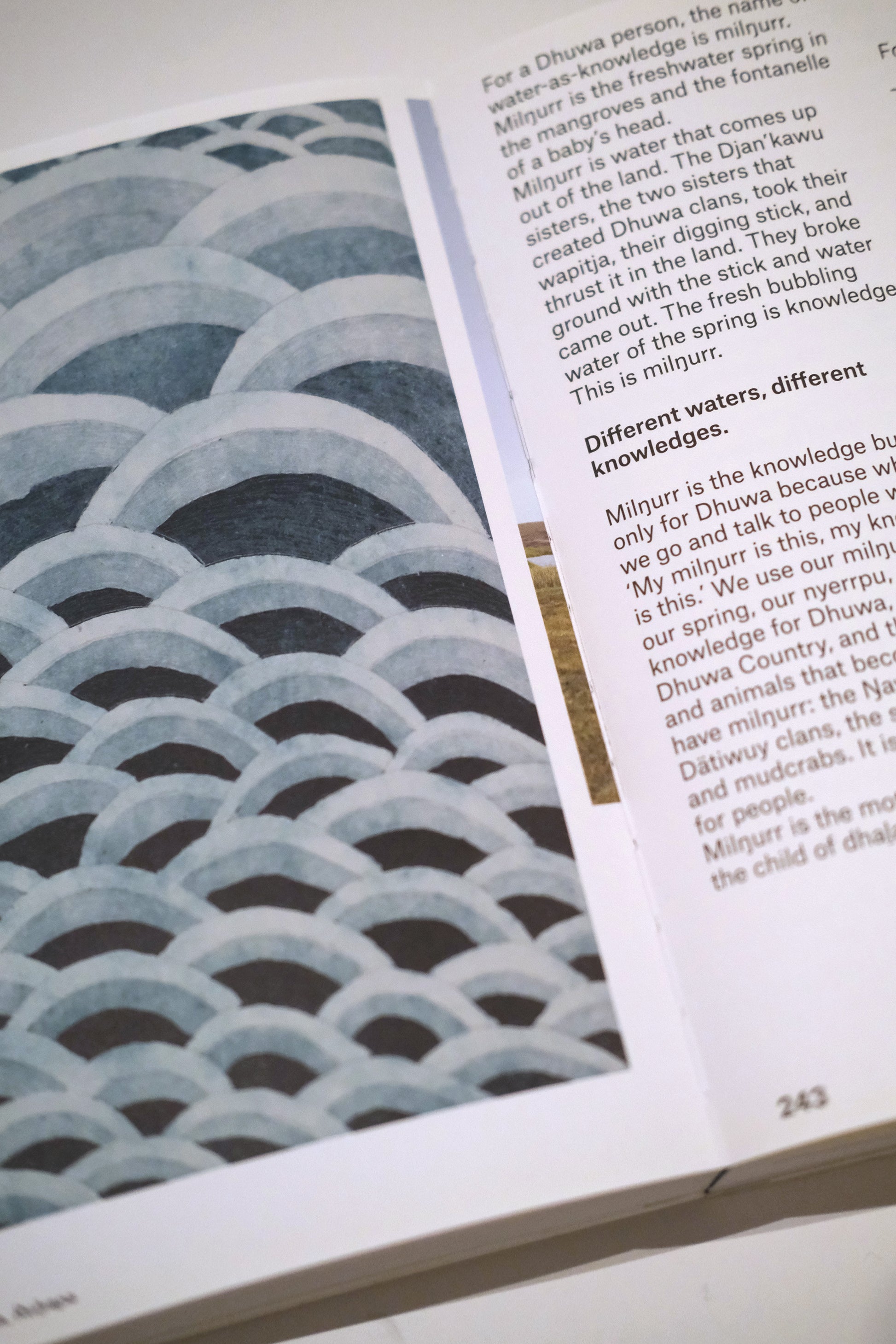 Rīvus a Glossary of Water: 23rd Biennale of Sydney