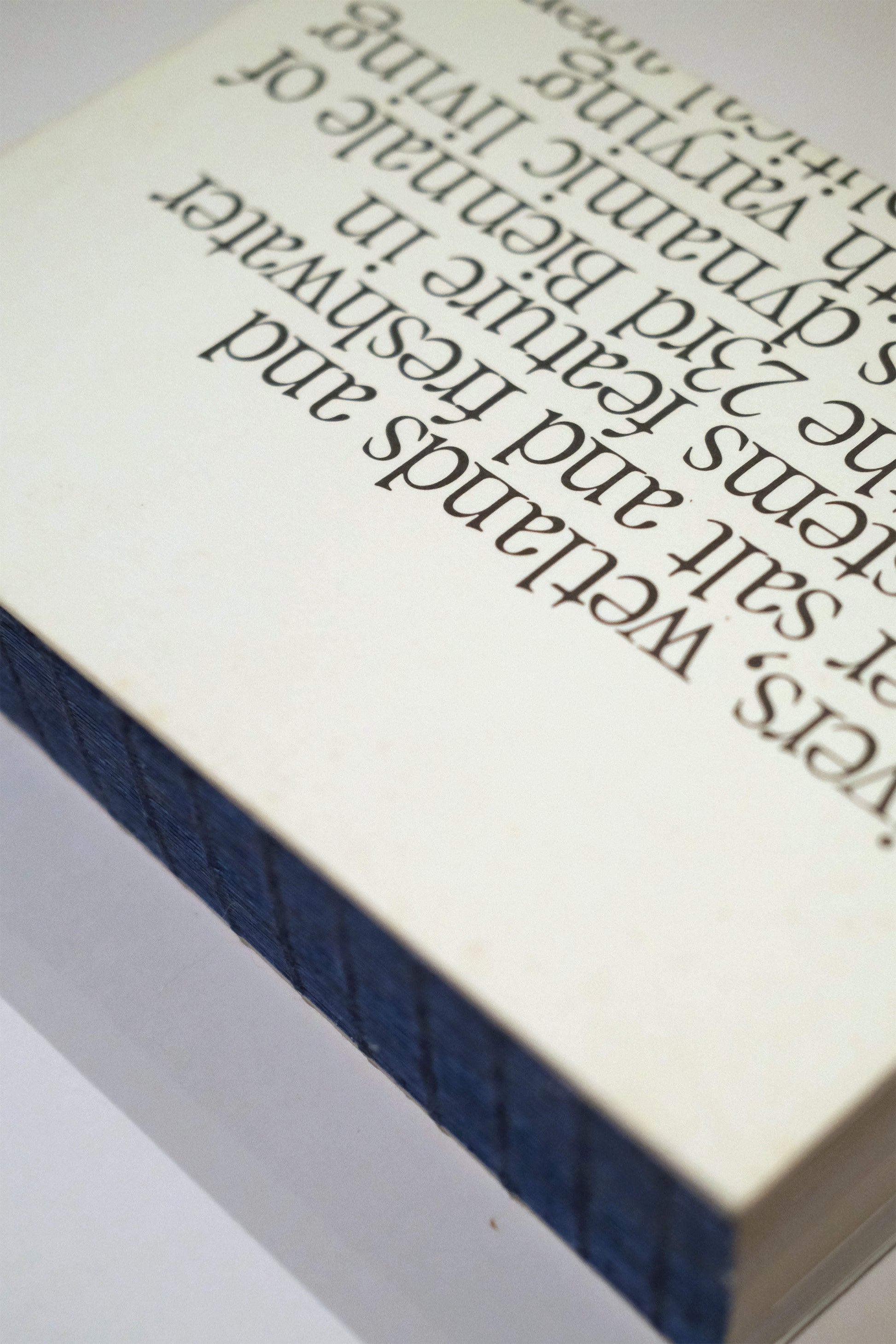 Rīvus a Glossary of Water: 23rd Biennale of Sydney